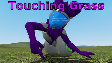 A Protogen Touches Grass And Encounters an Error