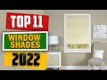 11 Best Window Shades For Home of 2022