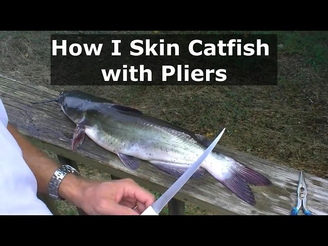 Catfish 101- How to Skin a Catfish 
