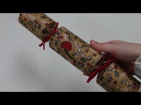 Red Robin Christmas Cracker | queenb.co.nz