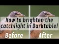 How to brighten the catchlight in Darktable: Quick tutorial