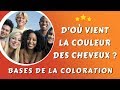 D'OÙ VIENT LA COULEUR DES CHEVEUX - BASES DE LA COLORATION