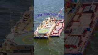 Дорогие мои Астраханцы с Днём Речника и Моряка!!!#поздравление#моряк  #ферма Три поросёнка!