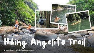 Hiking Angelito Trail to a NATURAL Swimming Pool in El Yunque National Forest