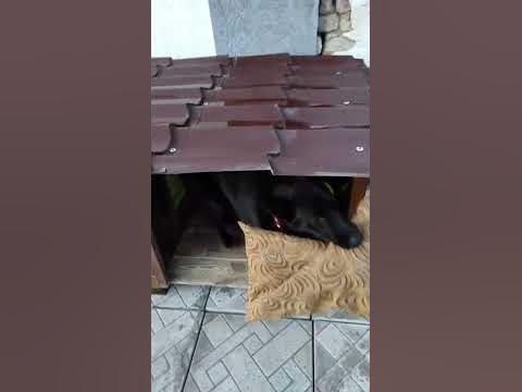 Будка из поддонов - YouTube