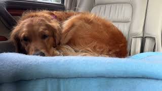 Beau Q4 2025 Highlight Reel