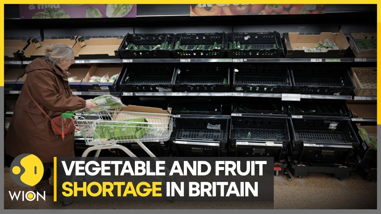 UK food supply crisis Fruits and vegetables missing from Britain's