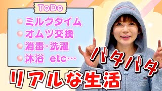 [Routine for raising twins] Real life...every day is hectic!