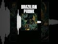 Fla$t - Palm-Bridge Vinyl 🎵 Brazilian Phonk