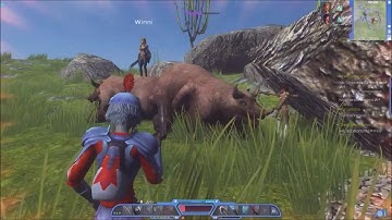 Planet Explorers Ep  9 Fire Bears!