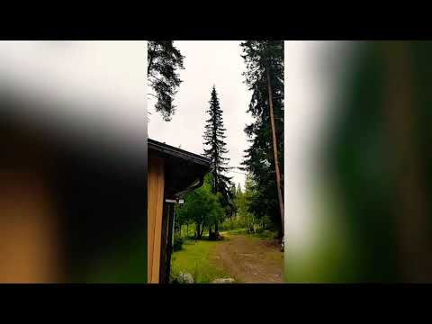 Tuulinen päivä tänään😁