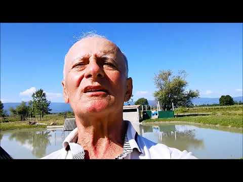 ალბათ უფრო ყველაფერმა ერთად