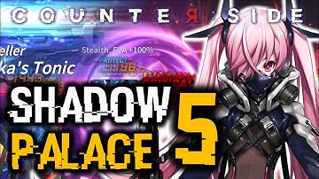 SHADOW PALACE 5 GUIDE! | Counter:Side