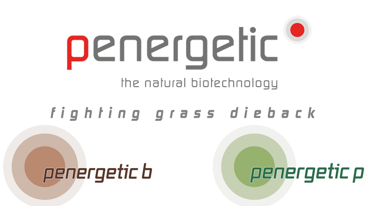 penergetic p & b helping to fight Grass Dieback YouTube