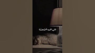 القارئ عبدالرحمن مسعد♡ #مصر #قرآن #قران_كريم #طمأنينة #تيك_توك #ياسر_الدوسري #عبدالرحمن_مسعد