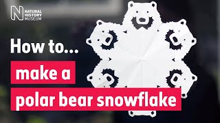 How to make a polar bear snowflake | Natural History Museum