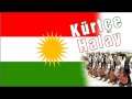 Kürtce Halay - 6.2 (Diyarbakir)