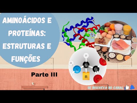 Vídeo: Qual é a função das proteínas conectoras?