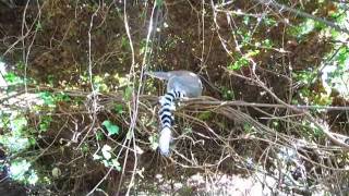 very small zoo in mallorca