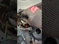 Why you don't want a sewage pump with plastic vanes