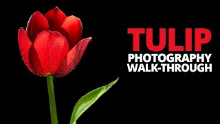 🌷 Simple flower photography, step by step. screenshot 4