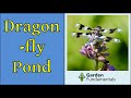 Dragonfly Pond Design 🦟🦟🦟 Which Design Attracts Dragonflies the Best?