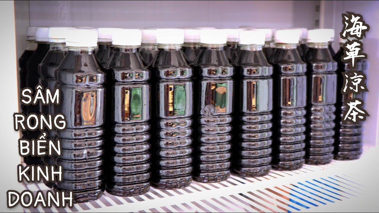 Sâm Rong Biển - Cách Nấu Kinh Doanh Lợi Nhuận Cao - Chia Sẻ Cách Nấu ...