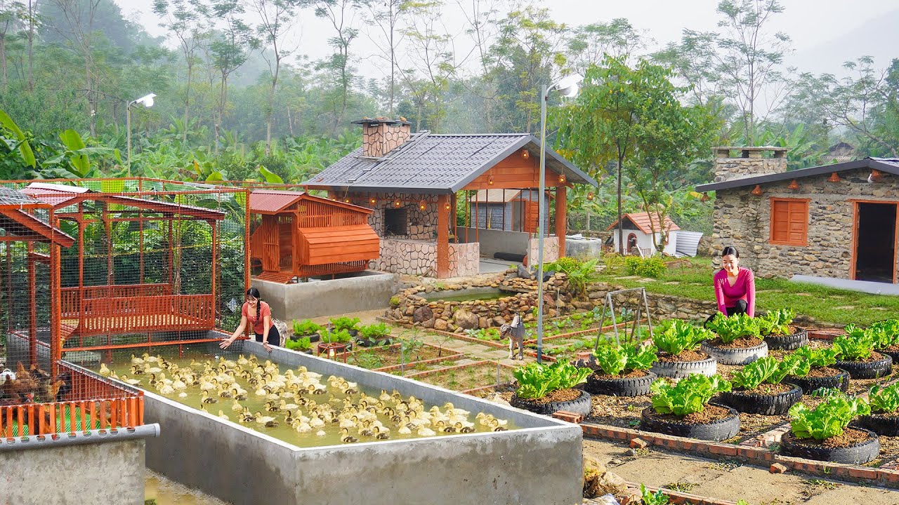 Full Video - 45Days Building Many Creative Cage To Raise Ducks, Geese - Growing Vegetable