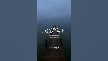 وَأَنفِقُوا۟ مِن مَّا رَزَقْنَـٰكُم || القارئ شريف مصطفي #quran #قرآن