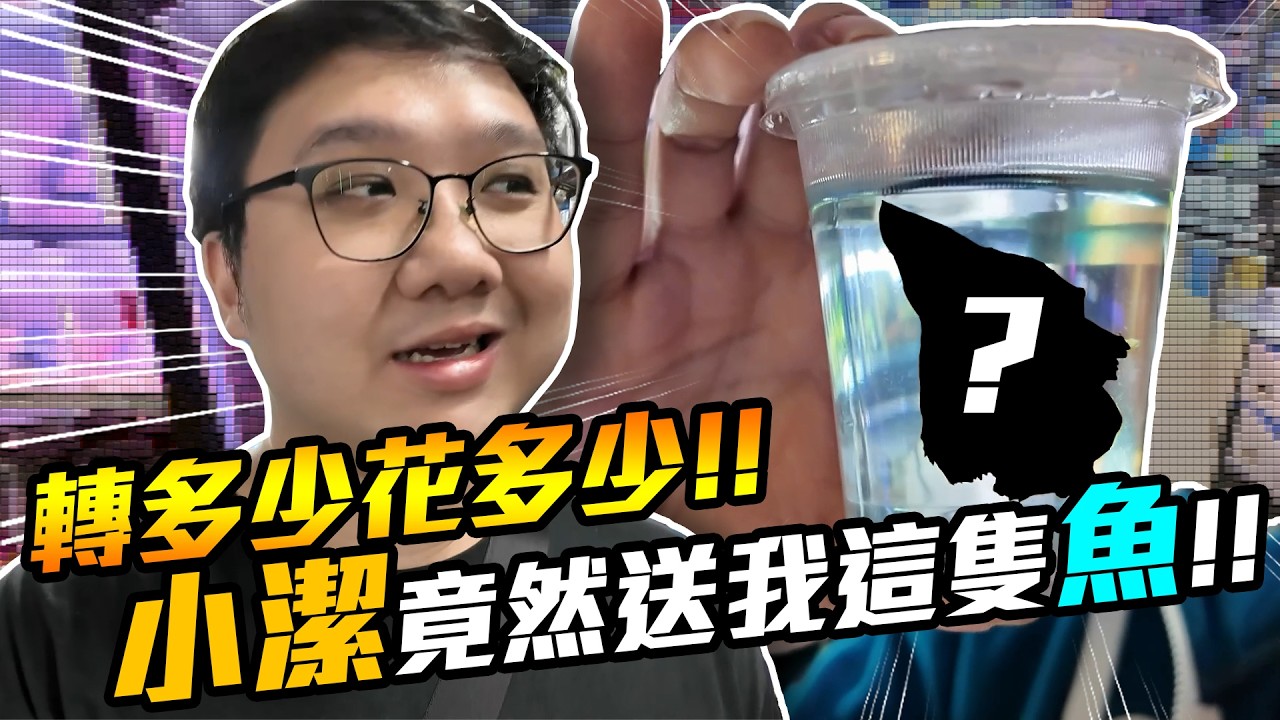 增加新夥伴！小潔竟然送我這隻魚？轉到多少就花多少買魚！！｜水族時間【黑羽 黃小潔】