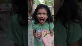 Wow Magic Chupa Chupa Biye