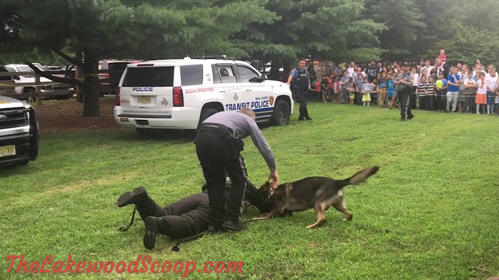 K9 Dog takes down Ocean County Sheriff's Officer at Night out Against Crime in Lakewood