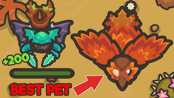 Taming.io NEW TURKEY IS BEST PET?!