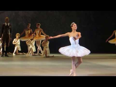 Ekaterina Shipulina - Don Quixote