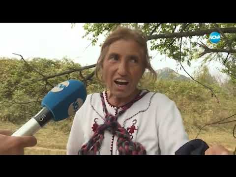 Застрелях кучето му Жоро Игнатов 07 10 2018