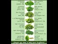 Tips Keerai Health Medical Food Tips Keerai Health Medical Food