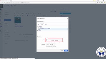 Editing and Adding/Linking Content to Pages in Canvas