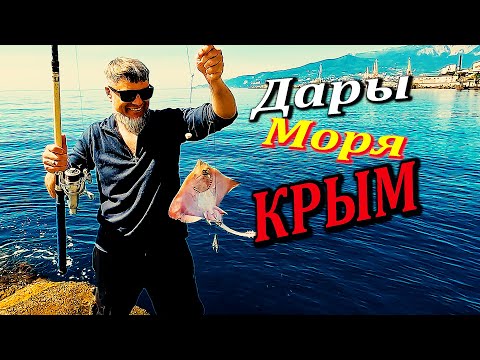 🔴ПРИШЛИ на Барабульку, а ЛИСЫ АТАКУЮТ. Морская Рыбалка в Крыму 2023