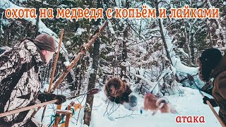 Опасная охота с копьем и лайками на медведя