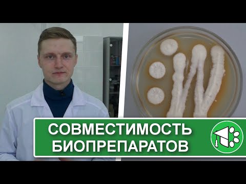Compatibility of plant bio-products. Do Trichoderma, Beauveria, and Metarhizium get along?