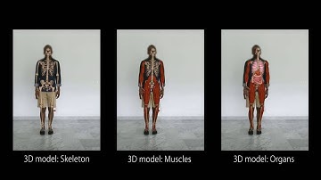 Anatomical Mirroring: Real-time User-specific Anatomy in Motion Using a Commodity Depth Camera