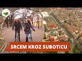 Subotički korzo, stare i nove IMPRESIVNE priče, kao i gastronomski užitak | SRCEM KROZ RAVNICU Ep.04