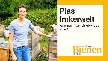 Kann man Bienen halten ohne den Honig zu ernten?