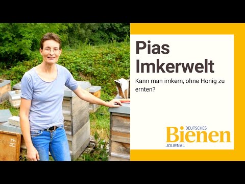 Video: So überprüfen Sie Honig Zu Hause