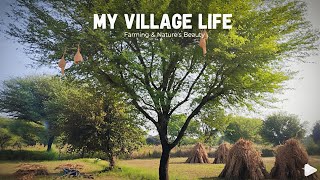 My farming and village life 🌾😍