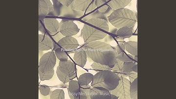 Delightful Koto and Strings - Vibe for Mantra Meditation