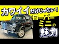 Rover Mini We Have The Super Cute Classic Mini In Stock Rover Mini We Have The Super Cute Classic Mini In Stock