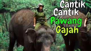 Kakak Cantik Penjinak Gajah | SI OTAN (27/02/20) PART 2
