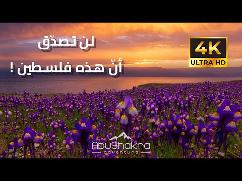 Palestine 4K لن تصدق ان هذه فلسطين 