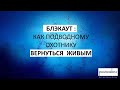 БЛЭКАУТ : КАК ПОДВОДНОМУ ОХОТНИКУ ВЕРНУТЬСЯ  ДОМОЙ  ЖИВЫМ